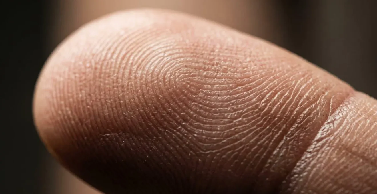 Macro detail of fingerprint ridge patterns demonstrating 3D depth mapping technology